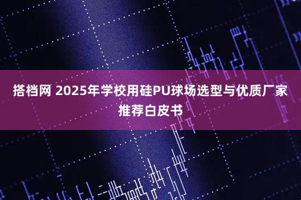 搭档网 2025年学校用硅PU球场选型与优质厂家推荐白皮书