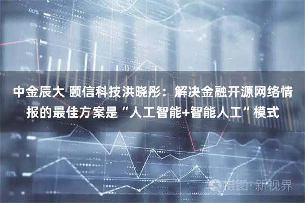 中金辰大 颐信科技洪晓彤：解决金融开源网络情报的最佳方案是“人工智能+智能人工”模式
